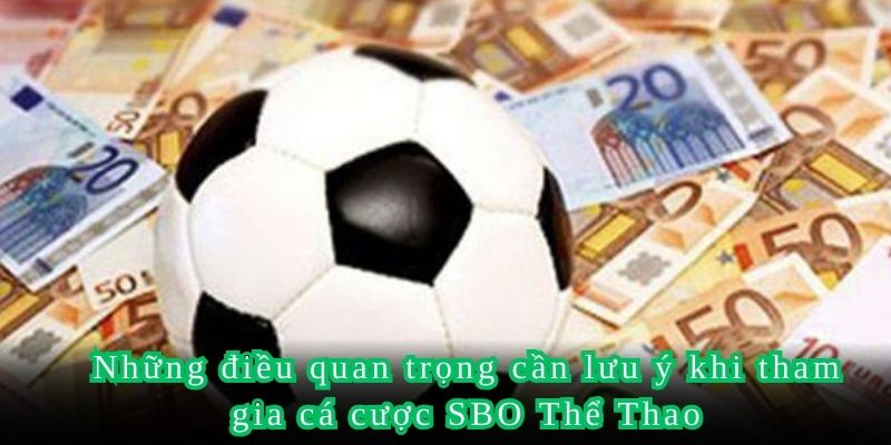 Những điều quan trọng cần lưu ý khi tham gia cá cược SBO Thể Thao