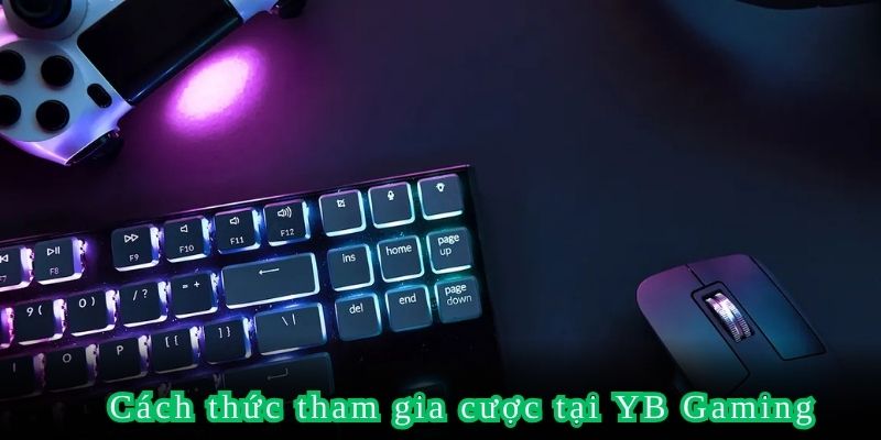 Cách thức tham gia cược tại YB Gaming